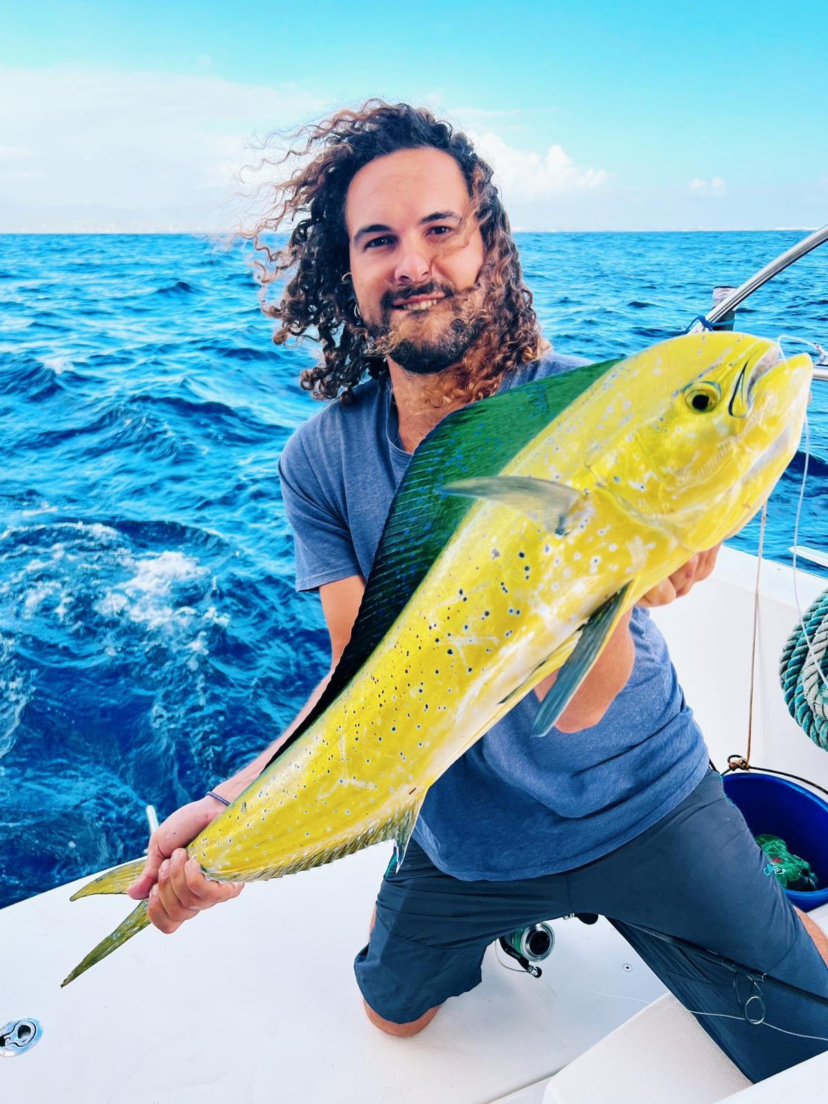 cfb56153-ef49-4a6a-972f-ce967874c899